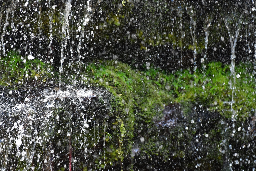 2020-01 Colombia/Cascadas la Hondas/DSC_4182.JPG